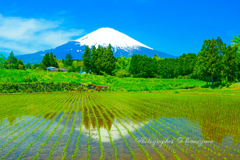 20140511-gotenba1106k3